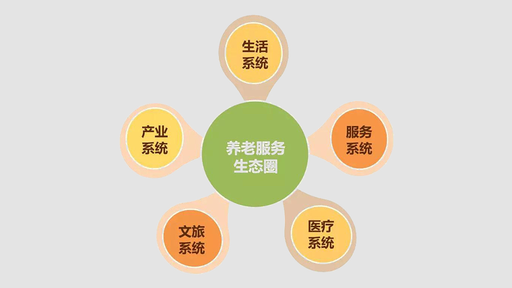 打造養(yǎng)老數字化平臺 賦能養(yǎng)老行業(yè)規(guī)?；l(fā)展(圖10)